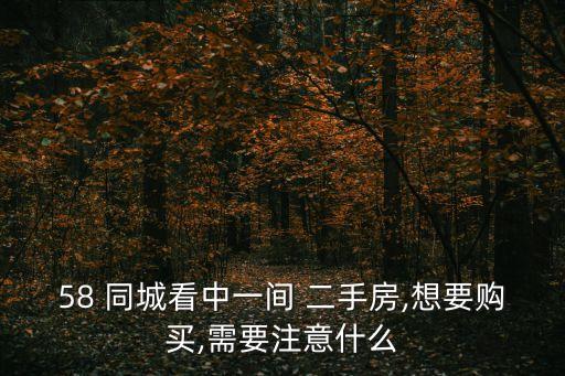58 同城看中一间 二手房,想要购买,需要注意什么