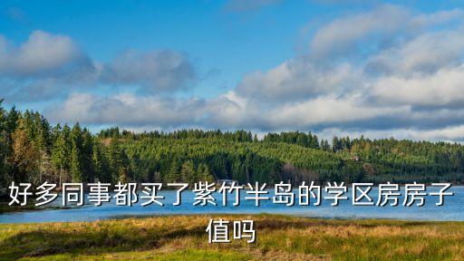 好多同事都买了紫竹半岛的学区房房子值吗