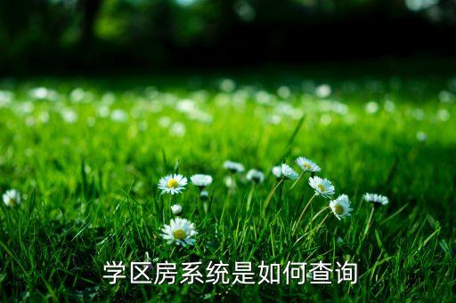  学区房系统是如何查询