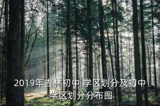 2019年吉林初中 学区划分及初中 学区划分分布图