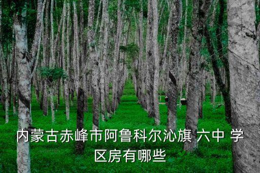 内蒙古赤峰市阿鲁科尔沁旗 六中 学区房有哪些