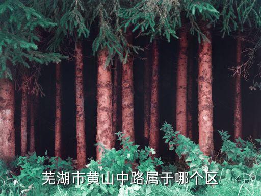 芜湖市黄山中路属于哪个区