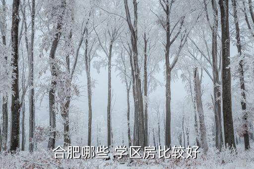 白壁镇哪个学区房好