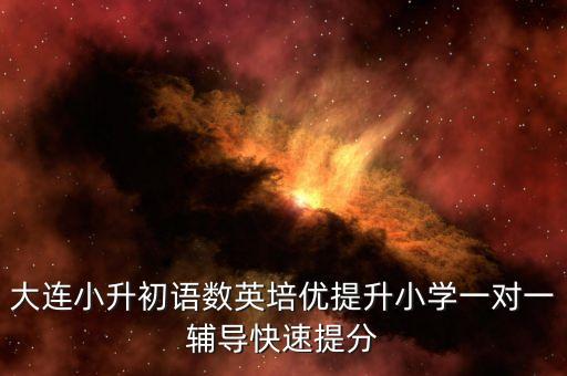 大连小升初语数英培优提升小学一对一辅导快速提分