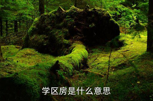 读书为什么有学区房一说，学区房是什么意思