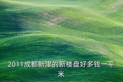 2011成都新津的新楼盘好多钱一平米