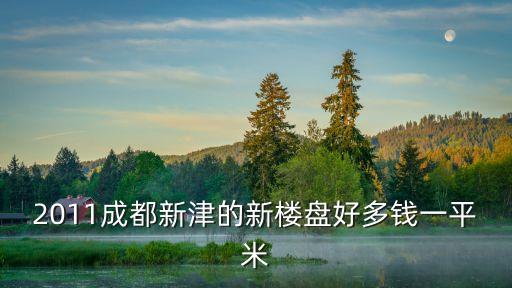 2011成都新津的新楼盘好多钱一平米