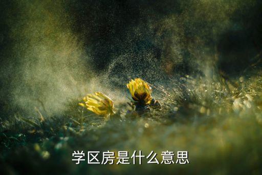 南京公寓对口学区房是什么，学区房是什么意思跟普通商品房有何不同