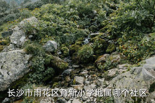 长沙市雨花区育新小学地属哪个社区