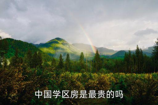 中国学区房是最贵的吗