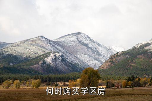 何时购买学区房