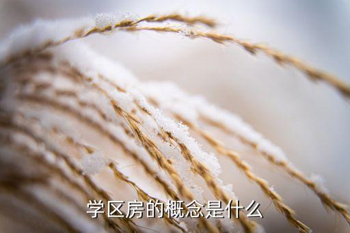 学区房的概念是什么