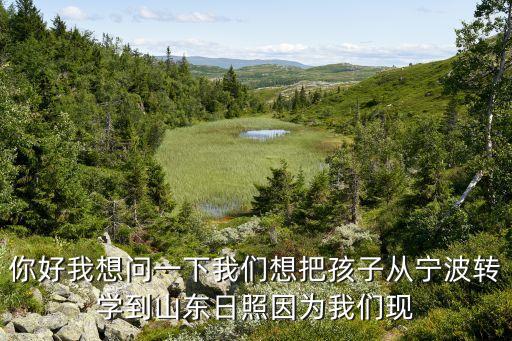 你好我想问一下我们想把孩子从宁波转学到山东日照因为我们现