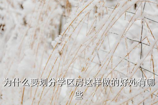 为什么要划分学区房这样做的好处有哪些