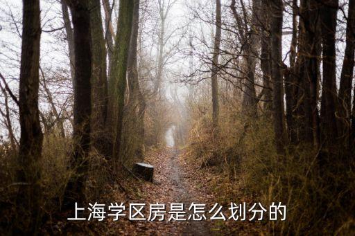 上海学区房是怎么划分的