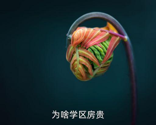 为啥学区房贵