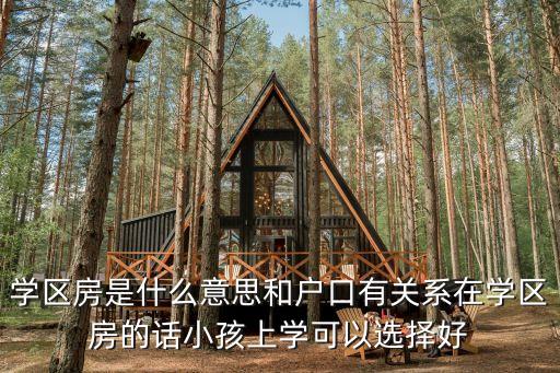 沈阳学区房大学区什么意思，学区房是什么意思学区户籍和学区房有什么关系吗