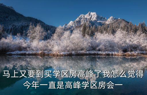 马上又要到买学区房高峰了我怎么觉得今年一直是高峰学区房会一
