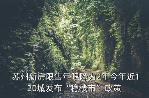  苏州新房限售年限降为2年今年近120城发布“稳楼市”政策