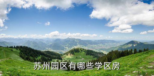 苏州园区有哪些学区房