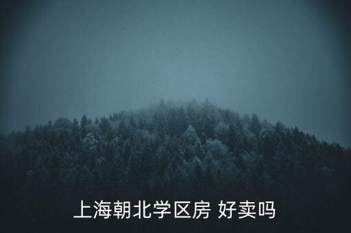 上海朝北学区房 好卖吗