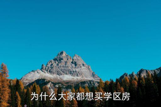 为什么大家都想买学区房