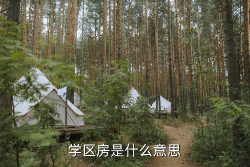 学区房是什么意思