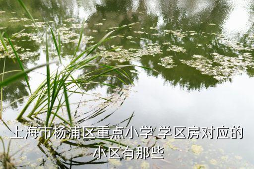 上海市杨浦区重点小学 学区房对应的 小区有那些