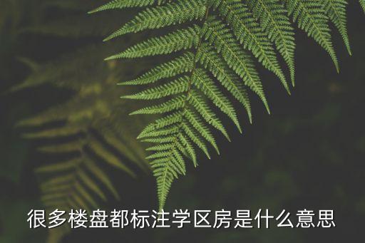 很多楼盘都标注学区房是什么意思