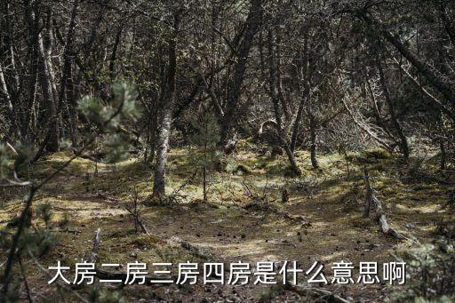 大房二房三房四房是什么意思啊