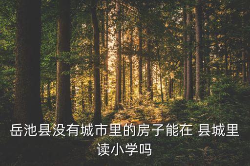 岳池县没有城市里的房子能在 县城里读小学吗