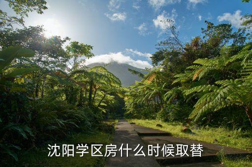 沈阳学区房什么时候取替