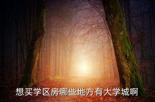 想买学区房哪些地方有大学城啊