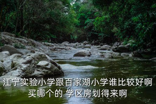 江宁实验小学跟百家湖小学谁比较好啊买哪个的 学区房划得来啊
