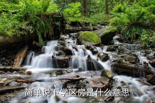 简单说下学区房是什么意思