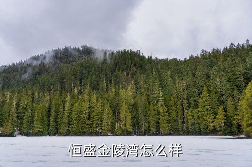 恒盛金陵湾怎么样