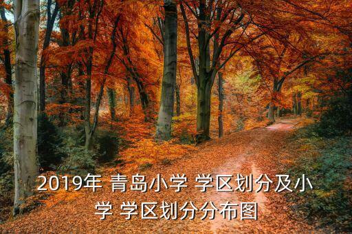 2019年 青岛小学 学区划分及小学 学区划分分布图