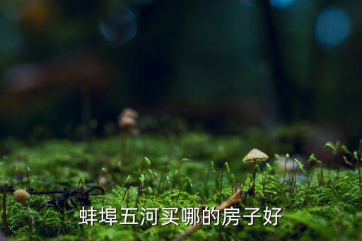 蚌埠五河买哪的房子好