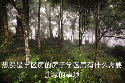 想买是学区房的房子学区房有什么需要注意的事项