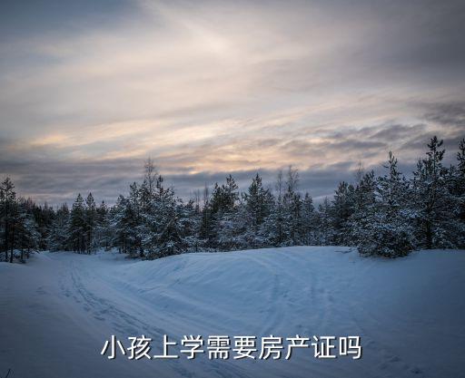 小孩上学需要房产证吗