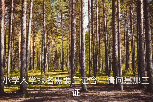 小学入学报名需要三证合一请问是那三证
