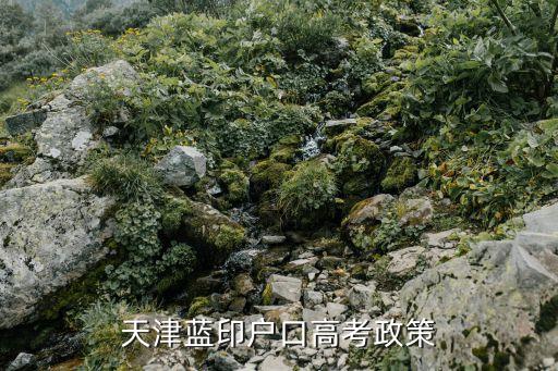 天津蓝印户口高考政策