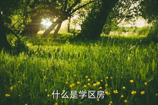 什么是学区房