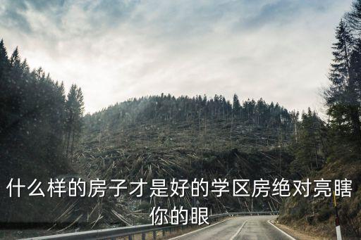 什么样的房子才是好的学区房绝对亮瞎你的眼
