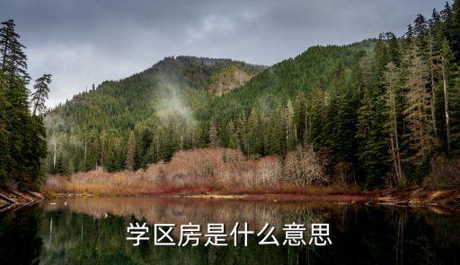 学区房是什么意思