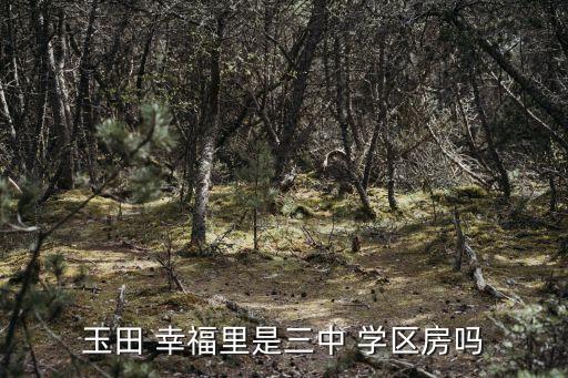 玉田 幸福里是三中 学区房吗