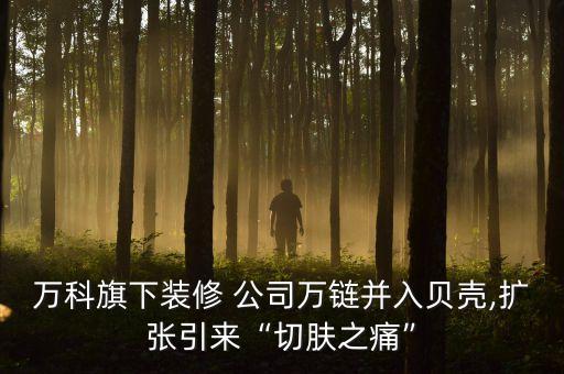万科旗下装修 公司万链并入贝壳,扩张引来“切肤之痛”
