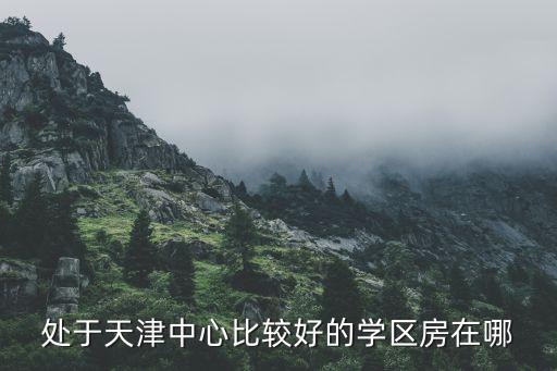 处于天津中心比较好的学区房在哪