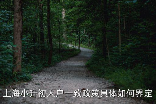 学区房什么叫人户一致，上海小升初人户一致政策具体如何界定