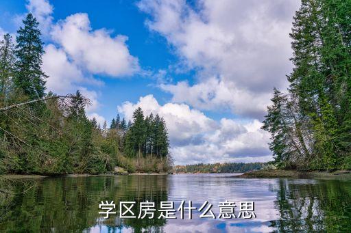  学区房是什么意思